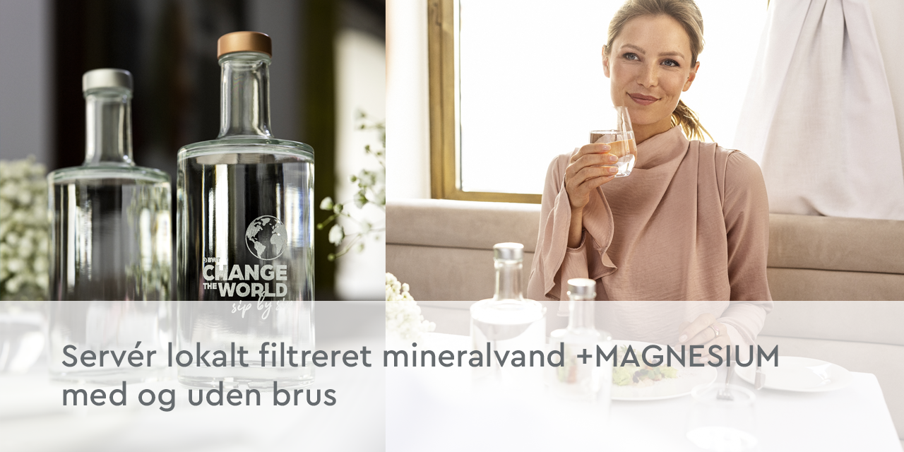 filtreret-bwt-vand-plus-magnesium-til-restaurant