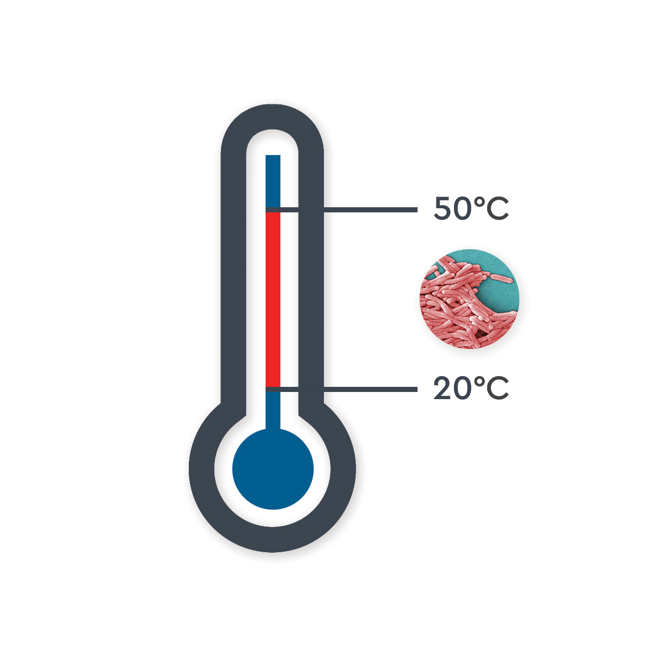 vandtemperatur og legionella