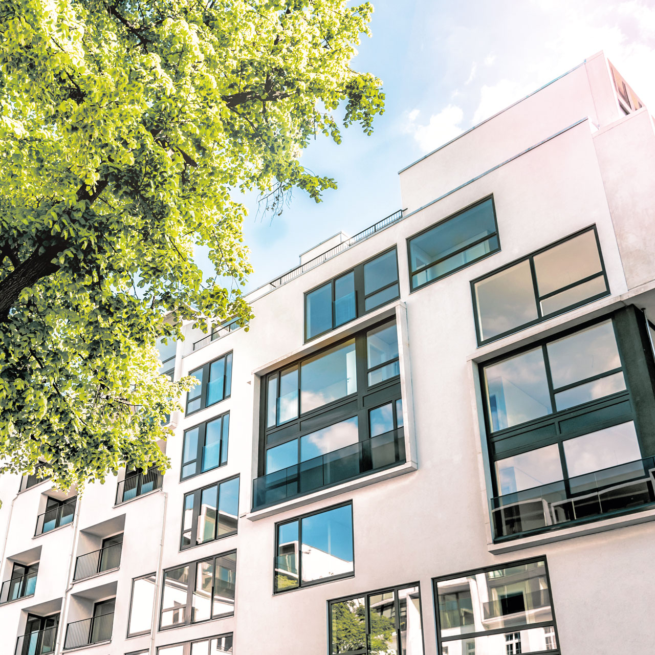 Central blødgøring Central blødgøring