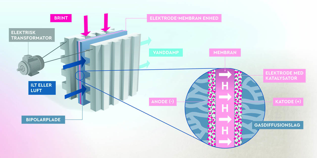 Brændselscelle elektrolyse