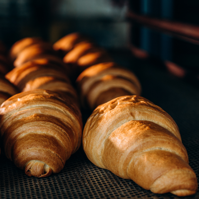 dampovn – sprødt bagværk dampovn – sprødt bagværk