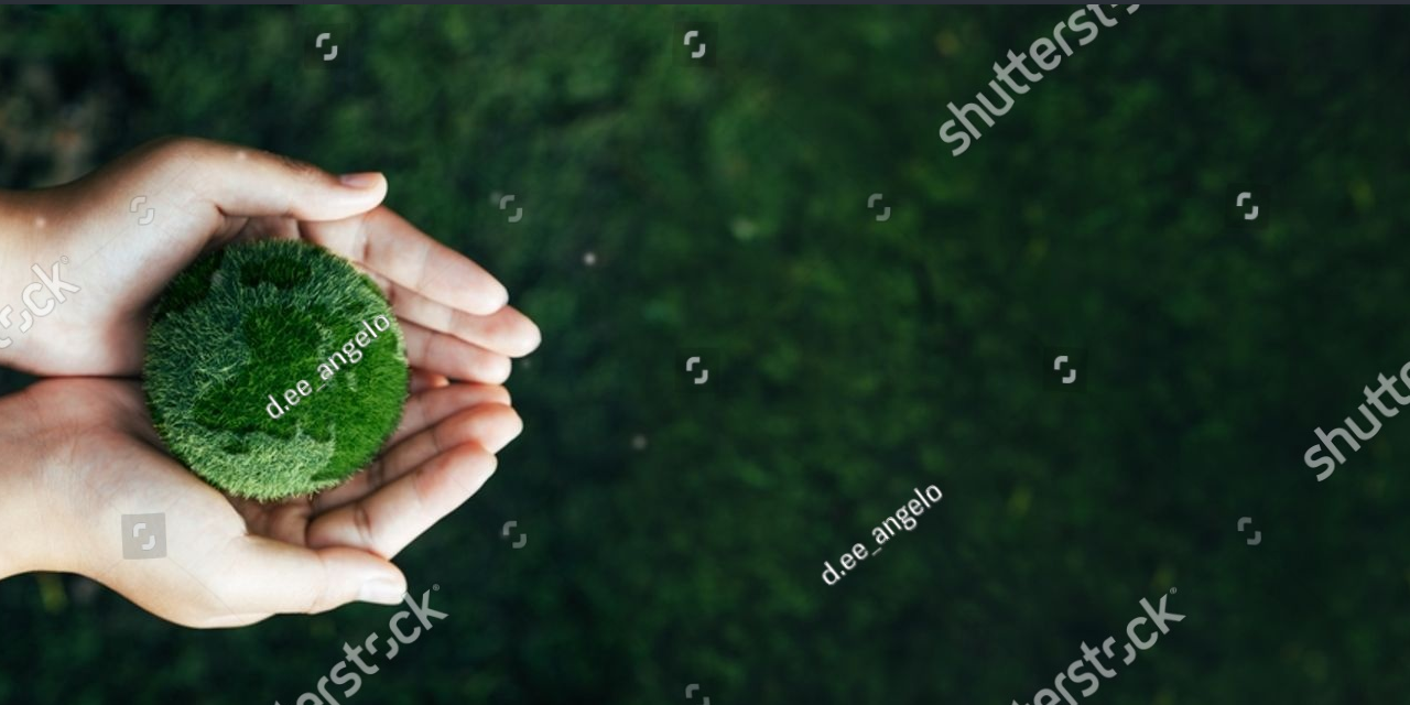 bwt-recycling-program