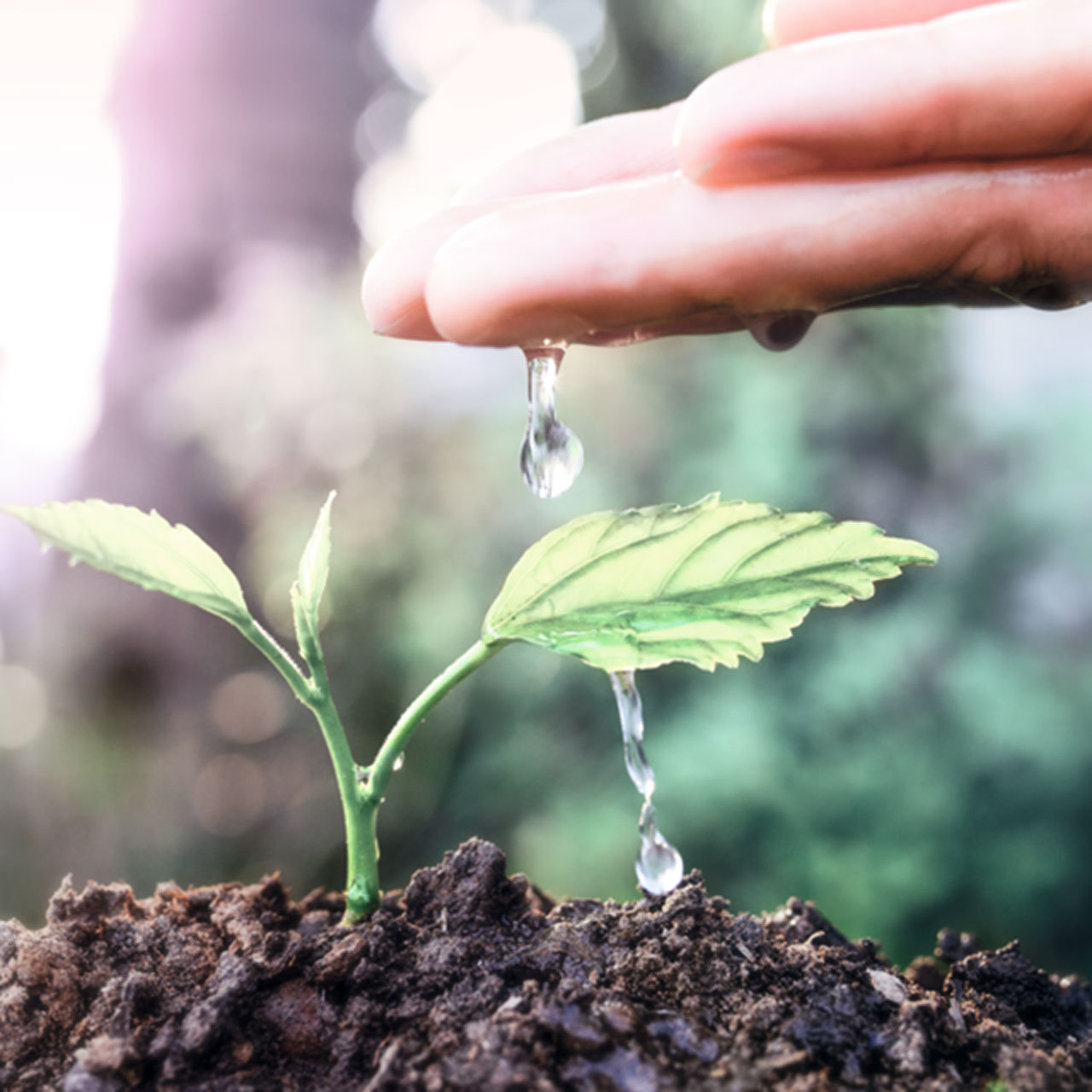 Spar på sæben og mærk fordelene