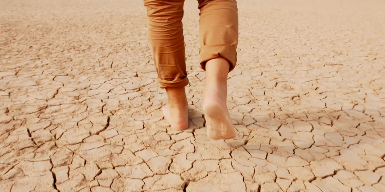 Walking Person