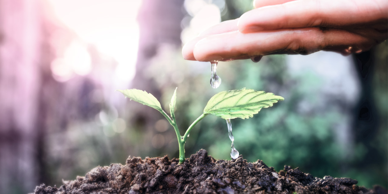 Spar på sæben og mærk fordelene