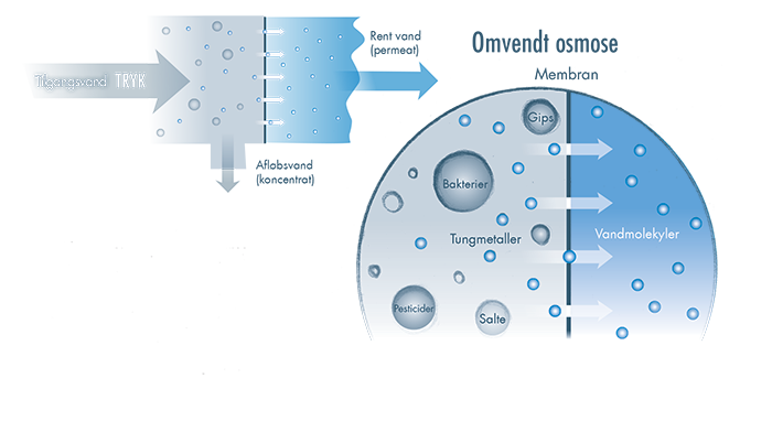 omvendt osmose funktion