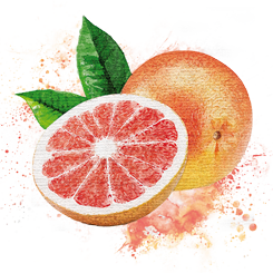 Grapefruit