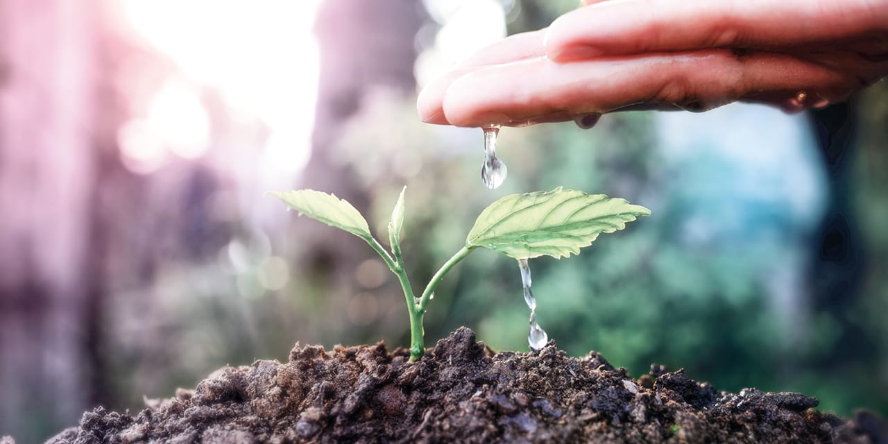 Umweltschutz Leitungswasser