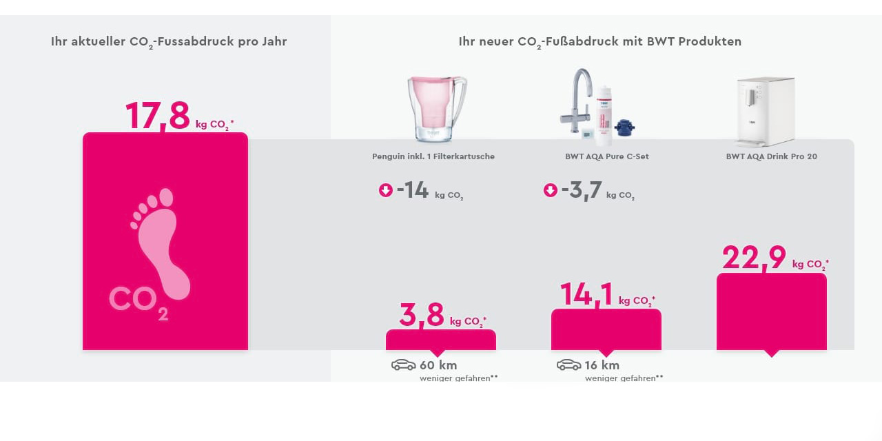 Consumer Ecologically Orientated