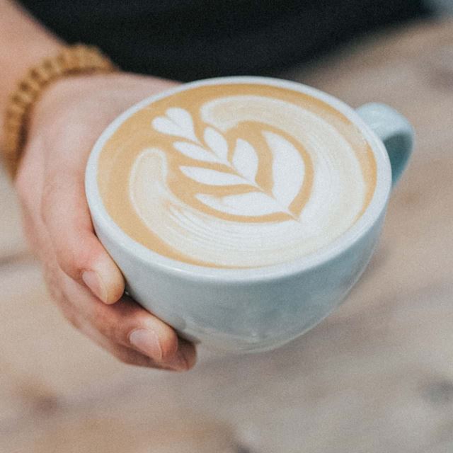 bestaqua 14 roc coffee