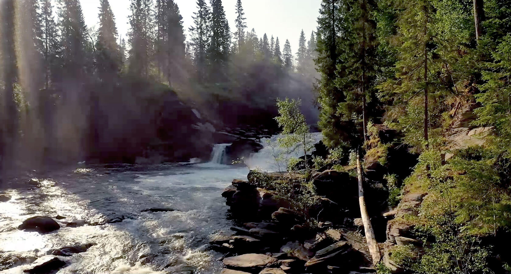 Wood and River