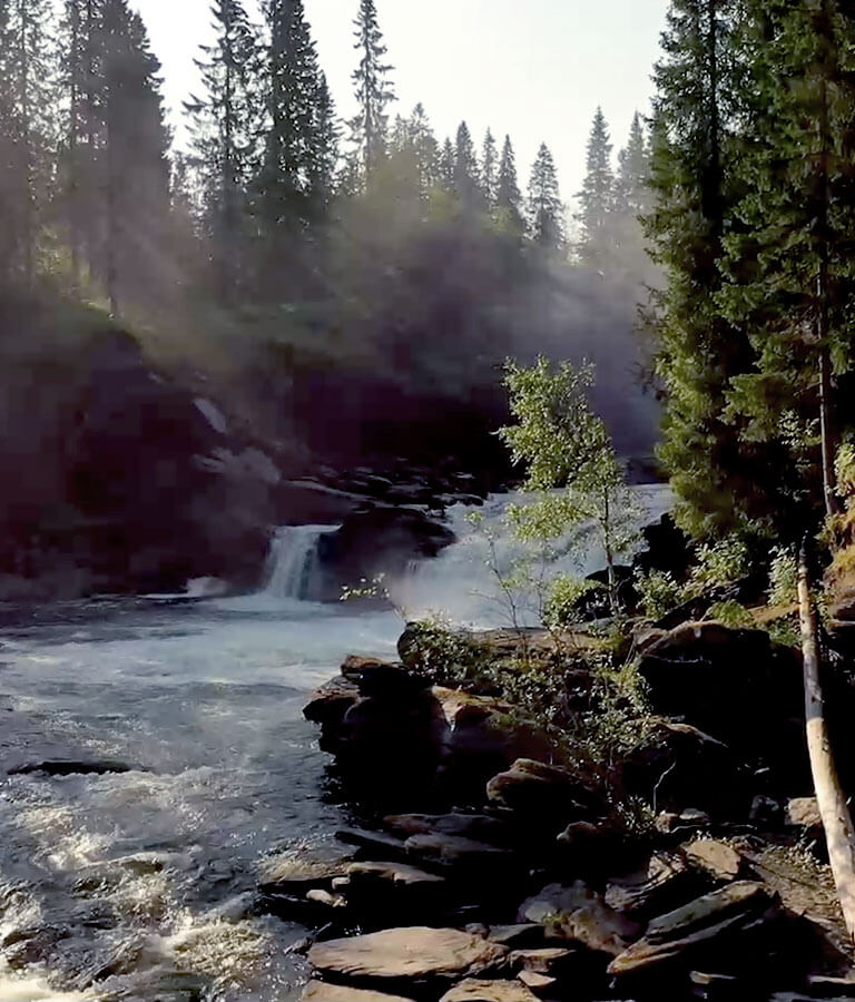 Wood and River