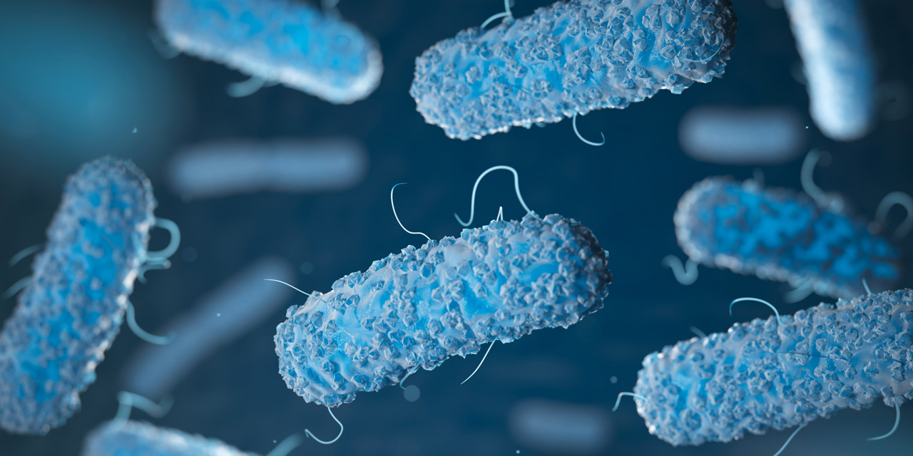 Das sind Legionellen.