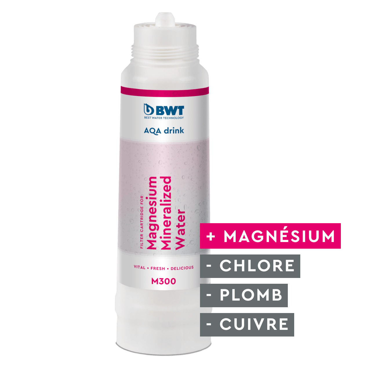 Cartouche filtrantes M300