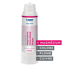 Cartouche filtrantes M300