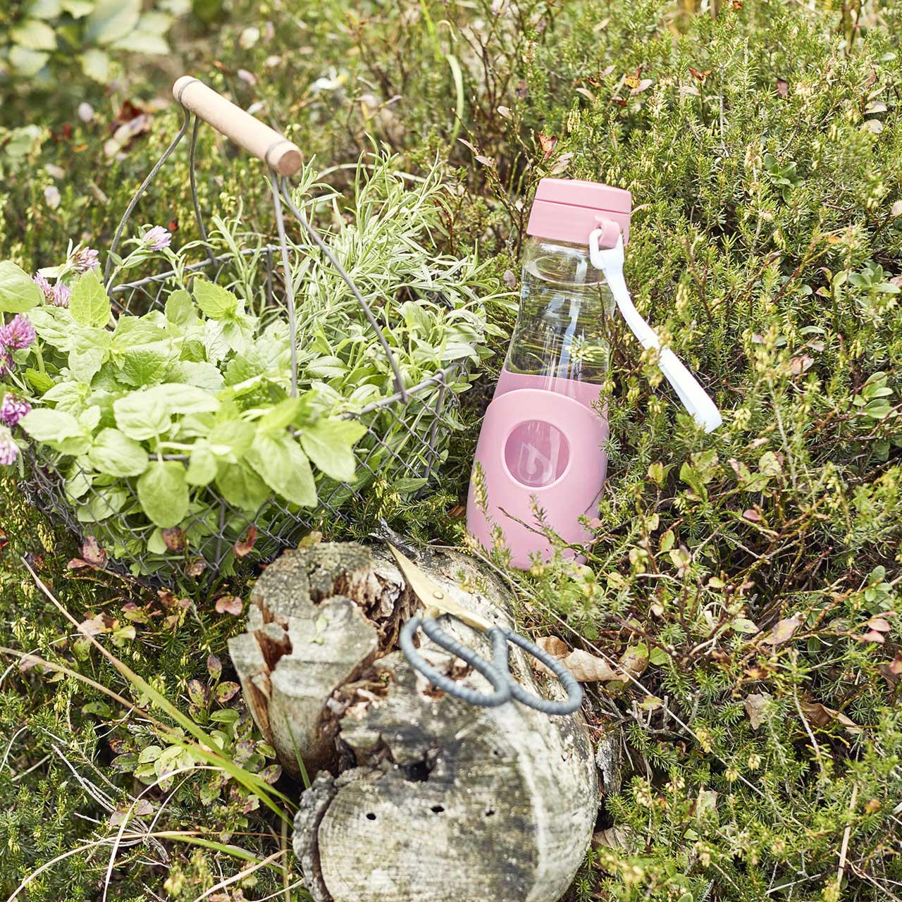 Gourde BWT dans la nature