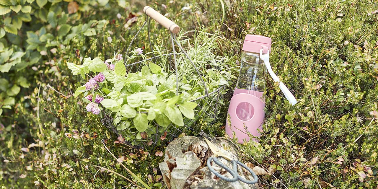 Gourde BWT dans la nature