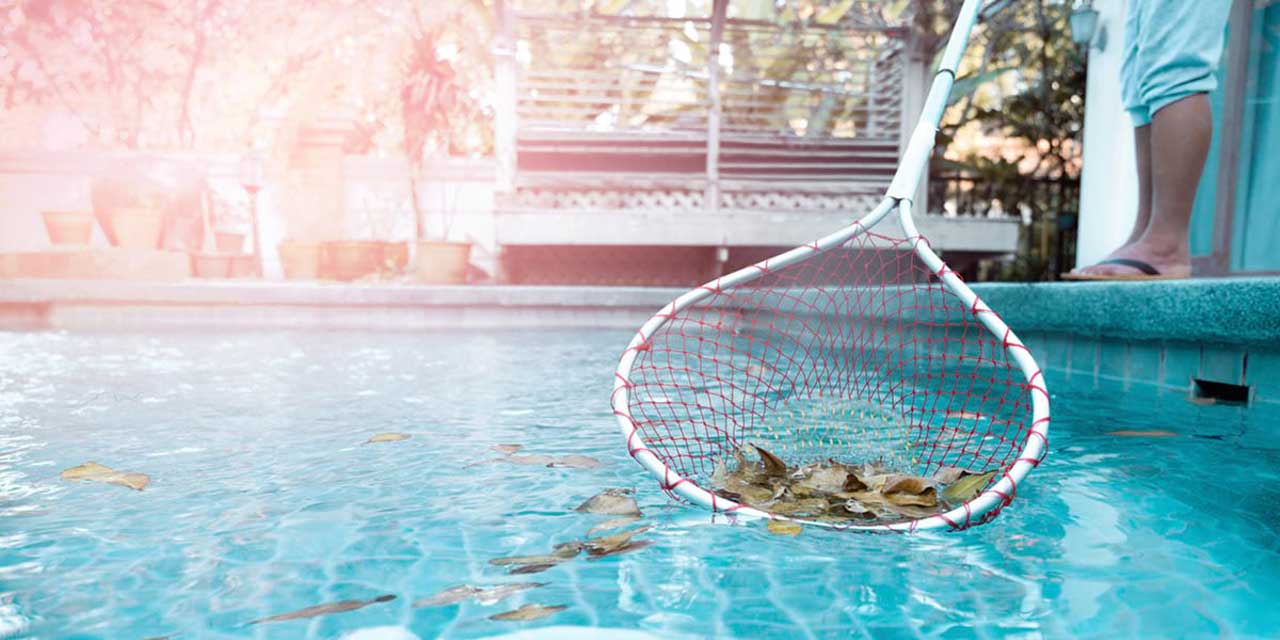Ramassage des feuilles dans la piscine avec une épuisette 