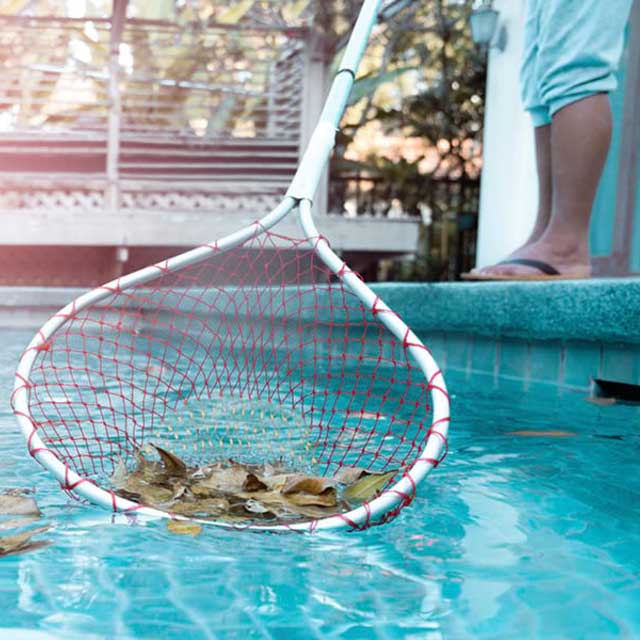 Ramassage des feuilles dans la piscine avec une épuisette