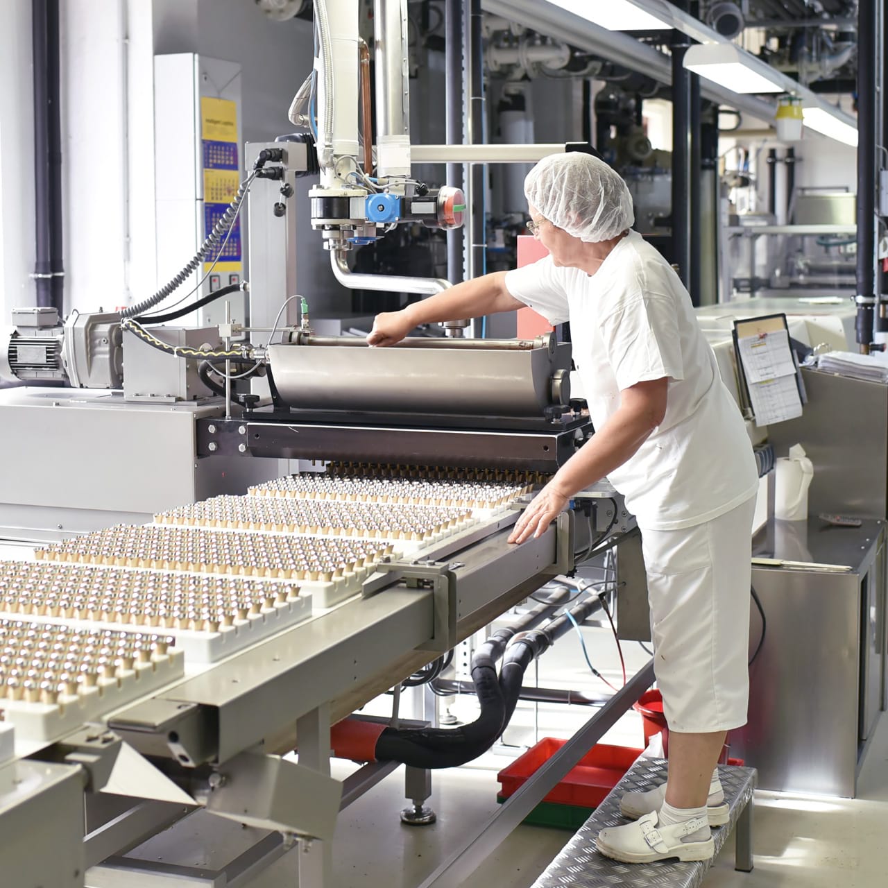 Industrie agro-alimentaire