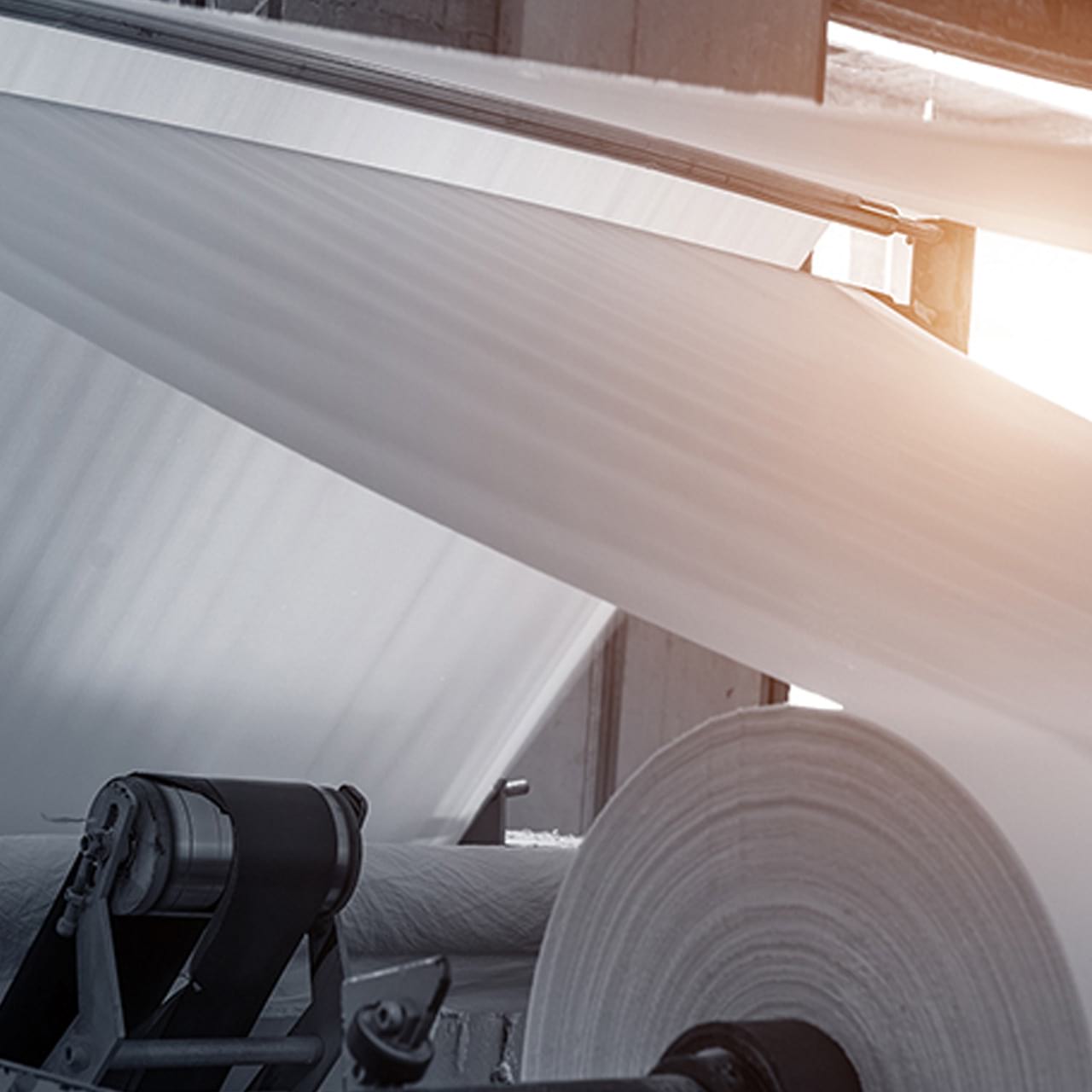 Industrie papetière