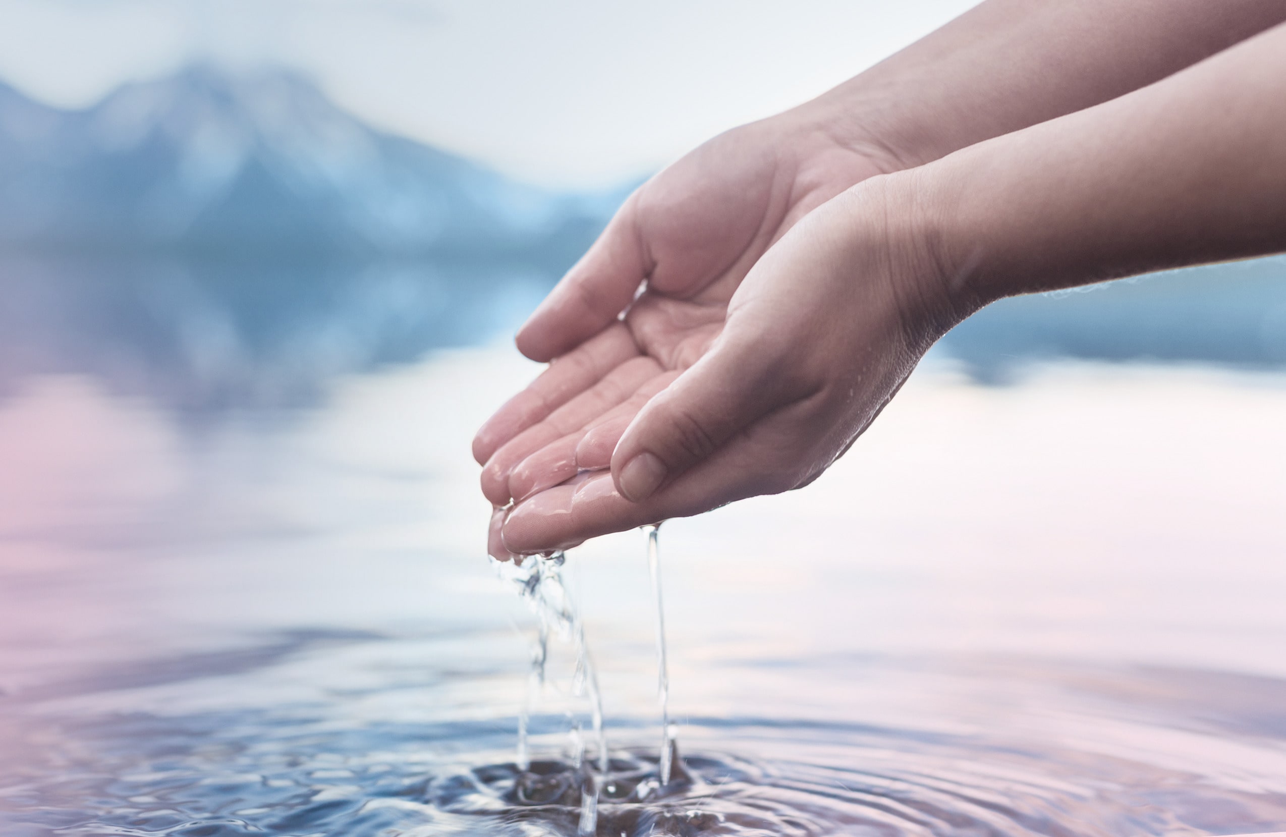 BWT Plug&Reuse Hero Banner