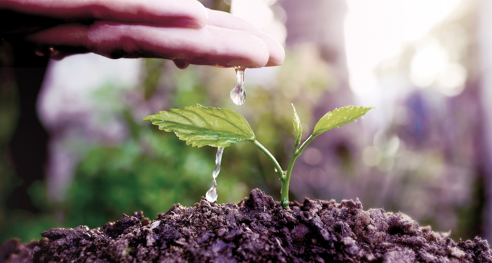 technologies innovantes