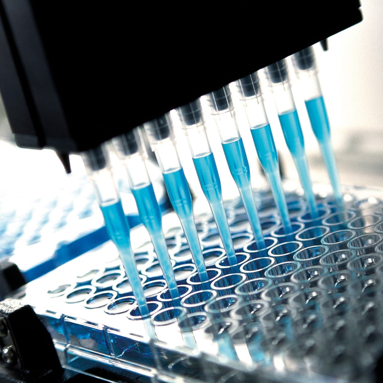 Higiénia szerepe a vízkezelésben