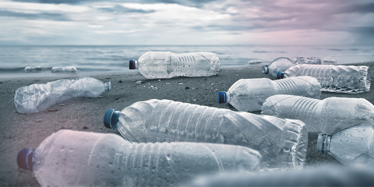 PET palackok az oceán partján