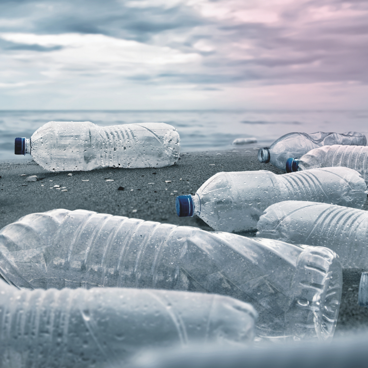PET palackok az oceán partján