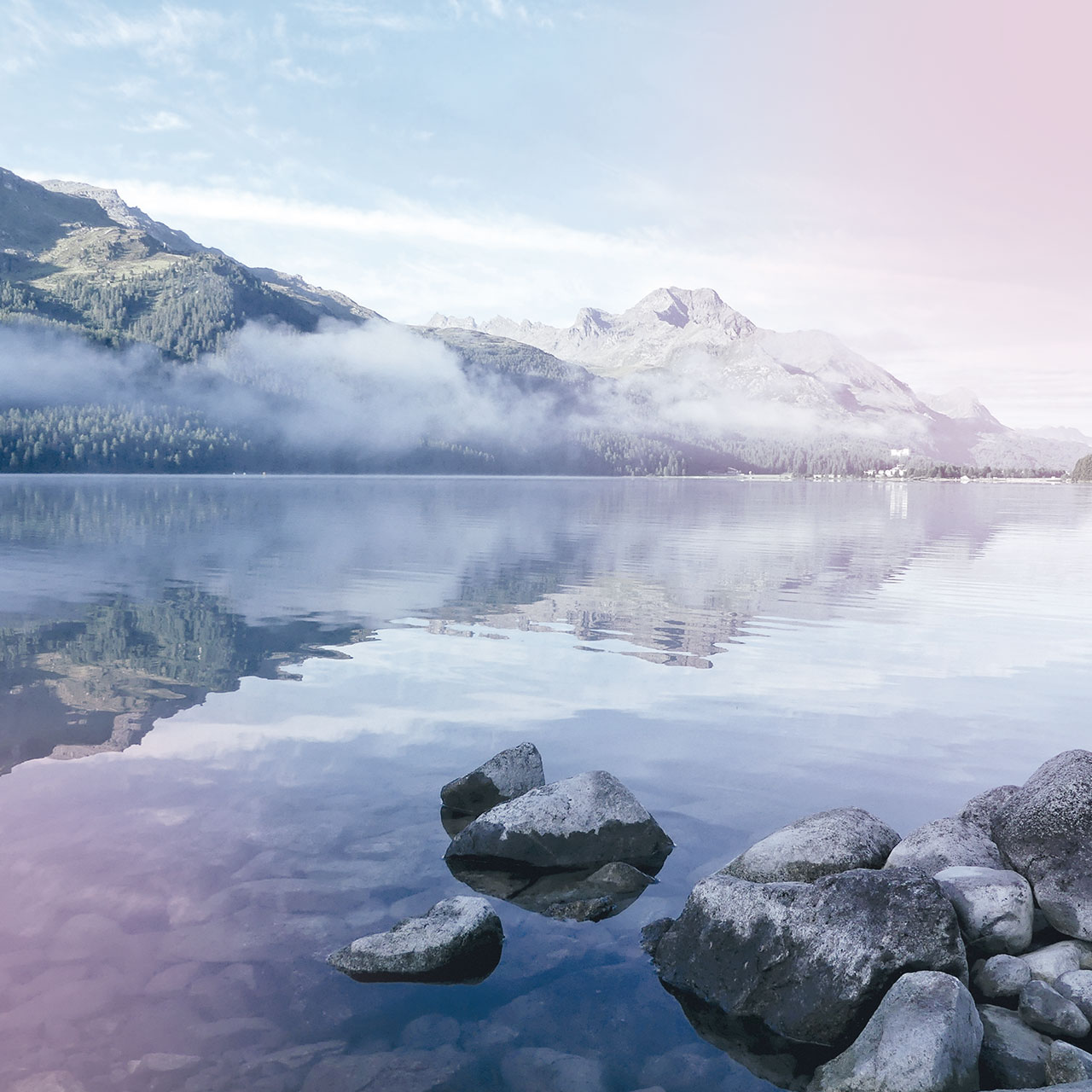 50, leader, sostenibilità, clima