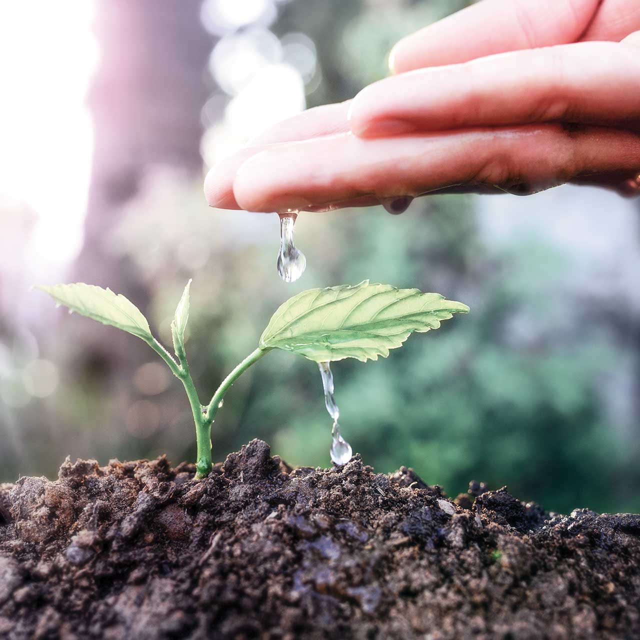 acqua, depuratori, filtro, filtro, depurare, acqua di rete, addolcitore, addolcire, addolcita