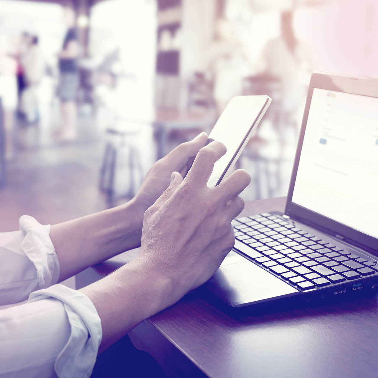 info catalogus - info catalogue