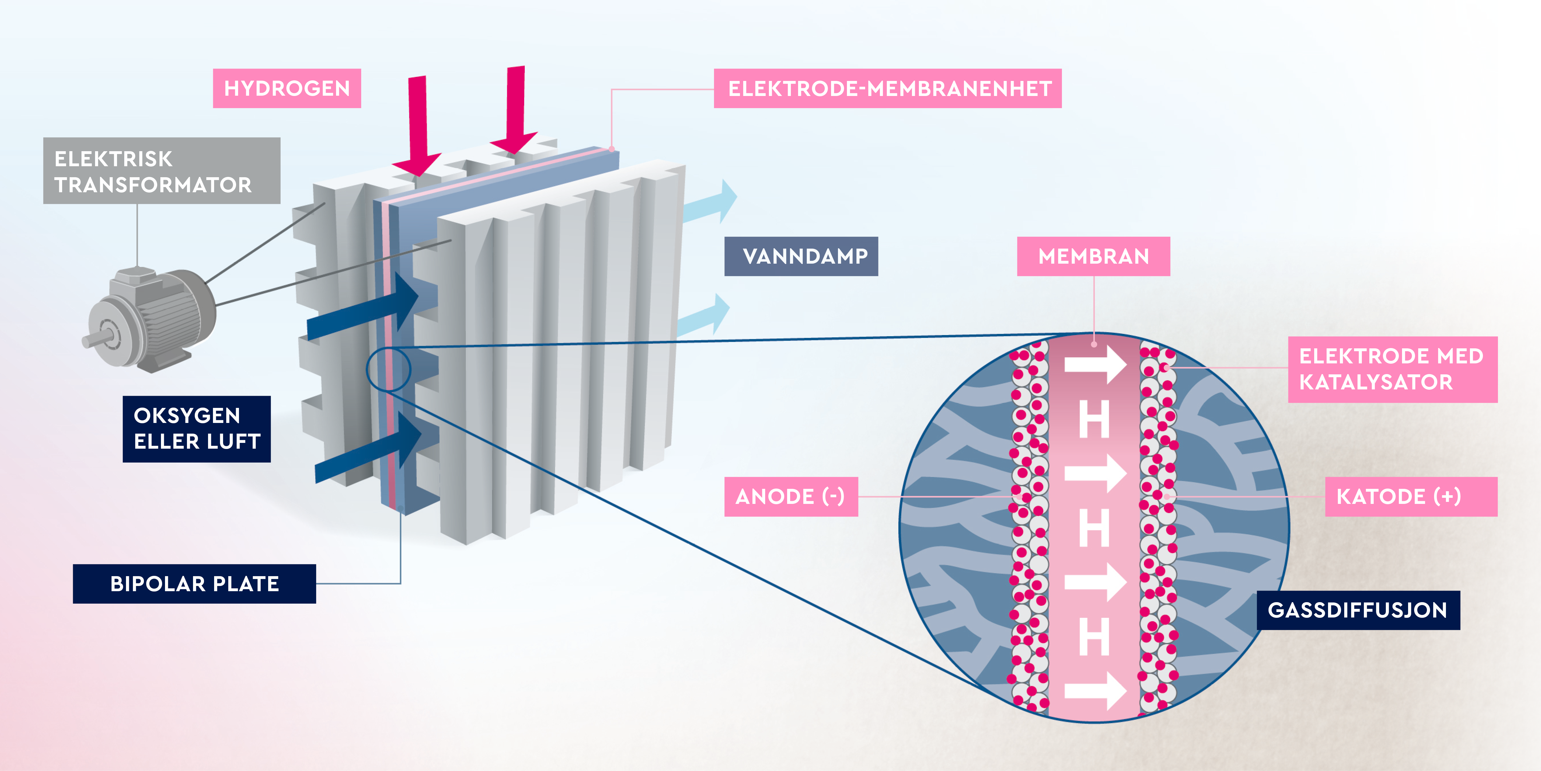 Brennstoffcelle elektrolyse BWT