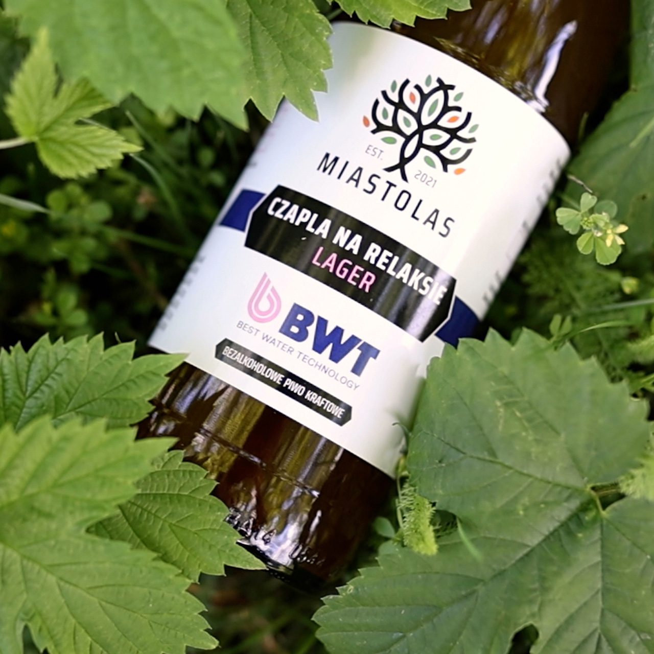 piwo czapla na relaksie