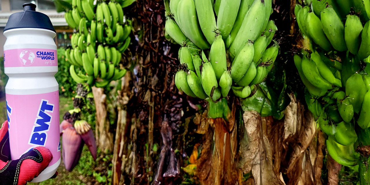 Misja Kostaryka 2025