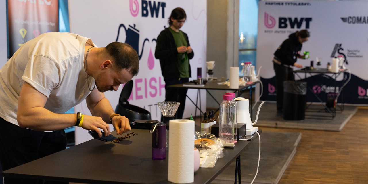 BWT Geisha Battle 2026