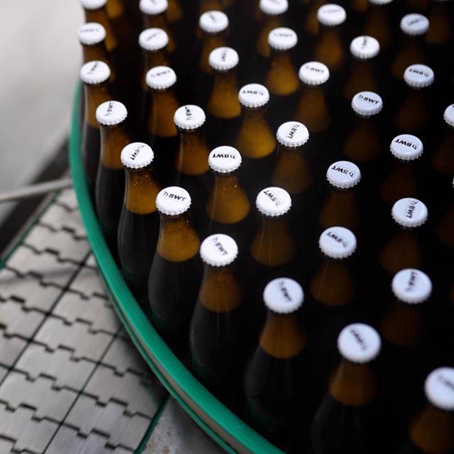 piwo pedzacy flaming bwt